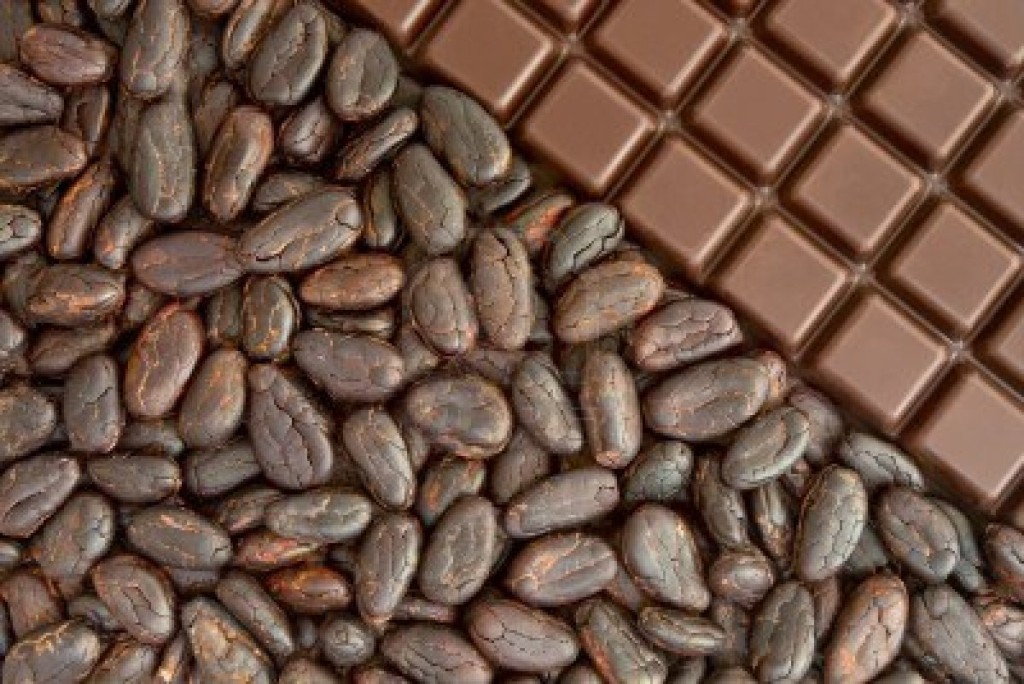 Cacao: ese fruto sagrado